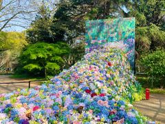 -上海共青森林公园