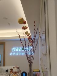 -塑青春&伊肤泉祛痘皮肤管理