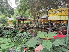 -白家大院·王府宫廷菜(苏州街店)