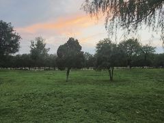 -汉长安城未央宫国家考古遗址公园