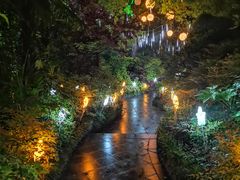 -杭州第一世界大酒店·云曼温泉