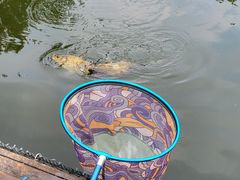 -酷鱼垂钓CLUB(朝阳区博大路店 )