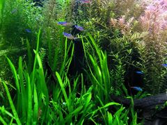 -上海海洋水族馆