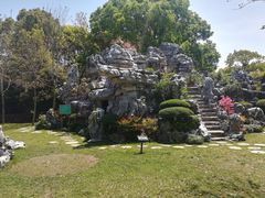 -上海鲜花港