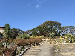 -松山湖梦幻百花洲