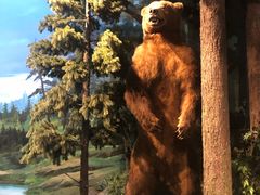 -陕西自然博物馆