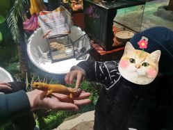 -酷嗒动物文化乐园(cutezoo西溪乐天城店)