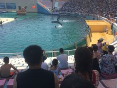 -秦皇岛乐岛海洋王国