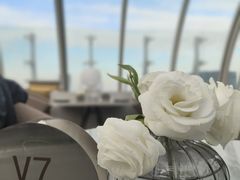 -Hi City·城市之巅