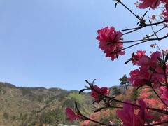 -木兰云雾山