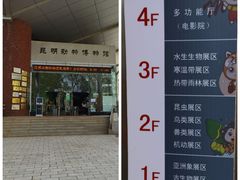 -昆明动物博物馆