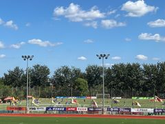 -山东鲁能乒乓球学校