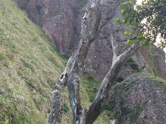 -七仙岭温泉国家森林公园