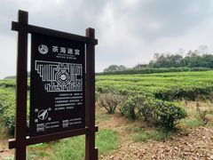 -凤凰沟景区