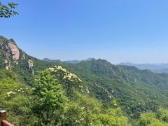 -大岭沟猕猴桃谷风景区