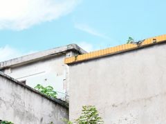 -荔湾湖公园
