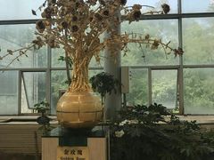 -沈阳植物园