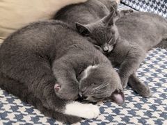 -觅时光手作·香薰·拼豆豆·陶艺DIY