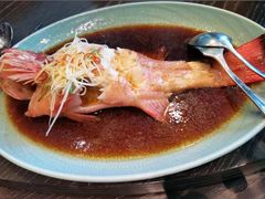 清蒸红石斑-泓历皇朝酒店(东亭店)