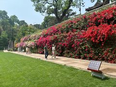 -红螺寺