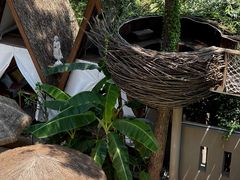 -南山植物园