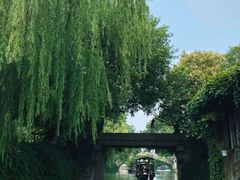 -乌镇景区