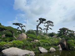 -罗红摄影艺术馆