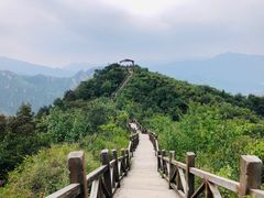 -大岭沟猕猴桃谷风景区
