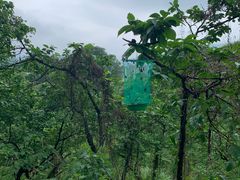 -四川农业大学(雅安校区)