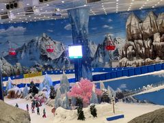 -湘江欢乐城欢乐雪域