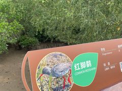 -东寨港红树林旅游区