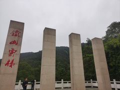 -铁山坪森林公园