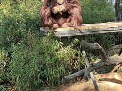 -云南野生动物园