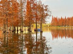 -白鹭湾湿地公园