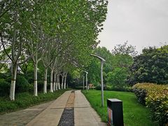 -天鹅湖体育公园