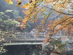 -藏龙百瀑风景区