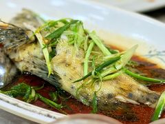 清蒸老鼠斑-富来美食