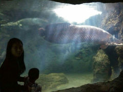 android_upload_pic-南昌海洋公园