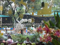 -街角 T·COFFEE 融合料理·BISTRO(车公庙店)