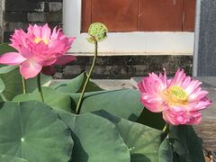 -厦门园林博览苑