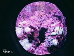 -南昌海洋公园