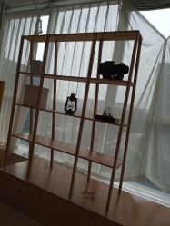 -苹果树儿童摄影工作室