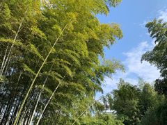 -苏州河梦清园环保主题公园