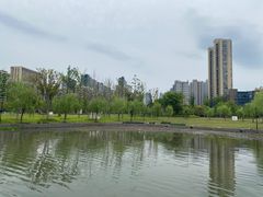 -金沙湖公园