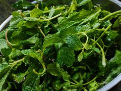 -黔府豆米火锅野菜馆(南马店)