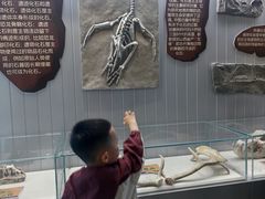 -海合安武汉极地海洋公园