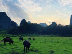 -钟山水墨田园