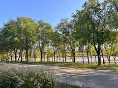 -永定河休闲森林公园