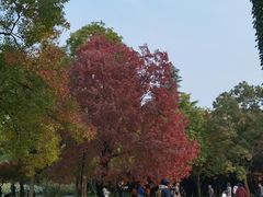 -洛阳市隋唐城遗址植物园