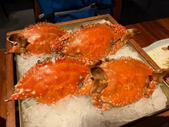 -Mr.Fish鱼鲜生海鲜放题(高德置地冬广场店)